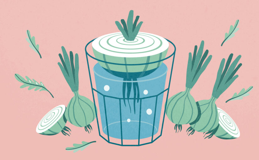 Et si je cultivais mes déchets ?