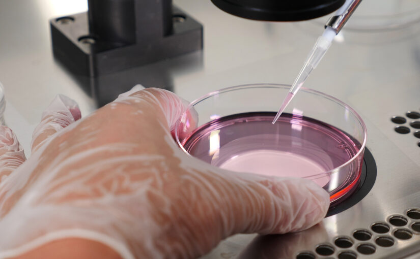 Des chercheurs ont réussi à créer des ovocytes humains